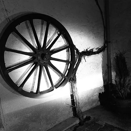 Rumbleinthejungle شقة