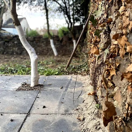 Rumbleinthejungle شقة *