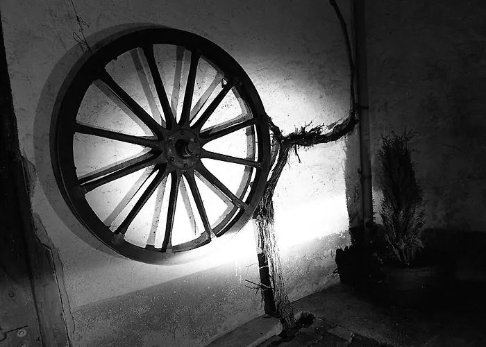 Rumbleinthejungle Apartment