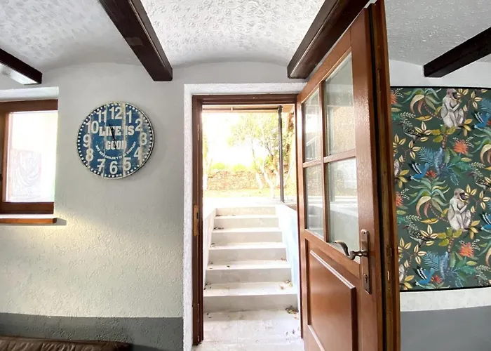 Apartment Rumbleinthejungle